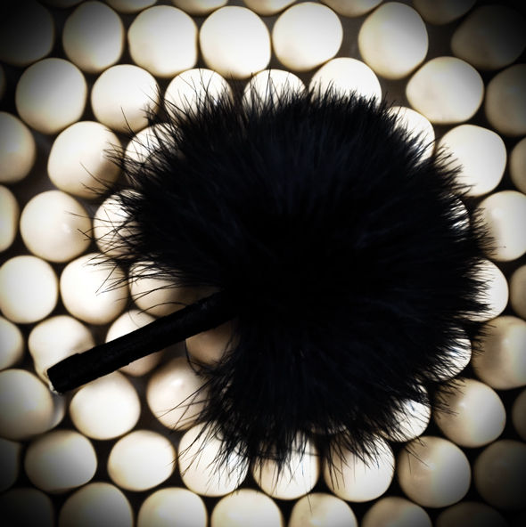 STYLO STIMULANT plumes