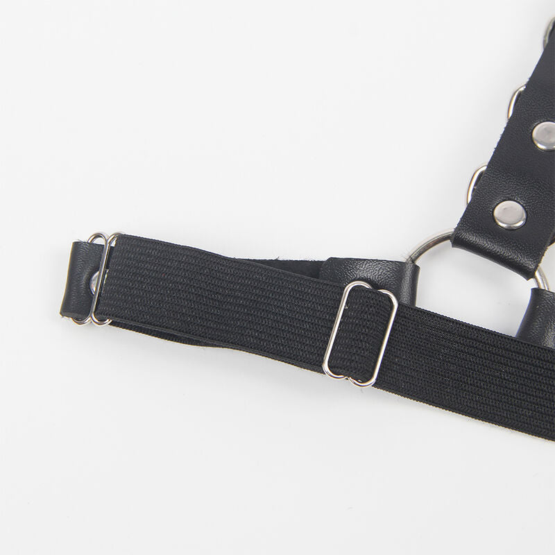 HARNAIS CEINTURE ET JARRETIÈRES