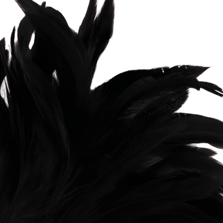 PLUMES STIMULANT NOIR LUX