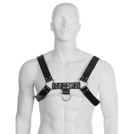 LEATHER BODY - HARNAIS  CHAÎNE III